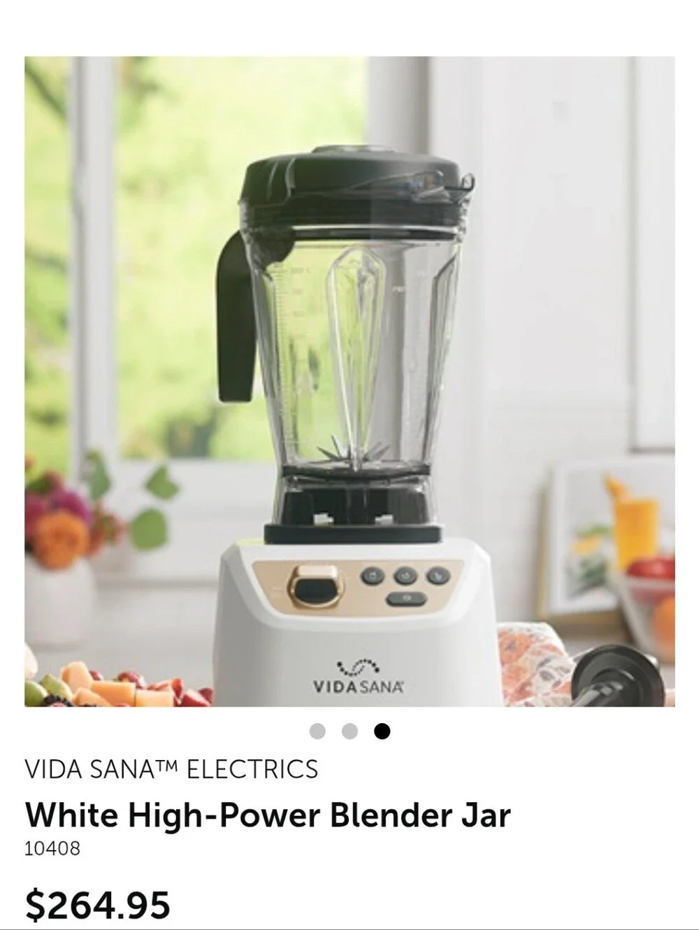 Princess House White High-Power Blender Jar